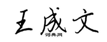 王正良王成文行書個性簽名怎么寫