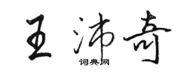 駱恆光王沛奇行書個性簽名怎么寫