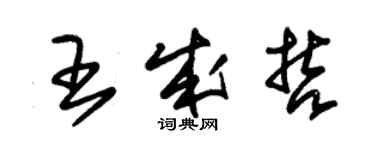 朱錫榮王成哲草書個性簽名怎么寫