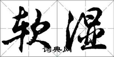 胡問遂軟濕行書怎么寫