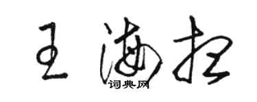 駱恆光王海想草書個性簽名怎么寫