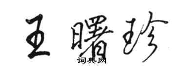 駱恆光王曙珍行書個性簽名怎么寫