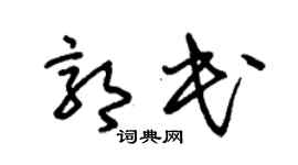 朱錫榮郭民草書個性簽名怎么寫