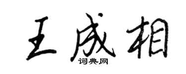 王正良王成相行書個性簽名怎么寫