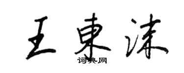 王正良王東沫行書個性簽名怎么寫