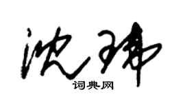 朱錫榮沈瑋草書個性簽名怎么寫