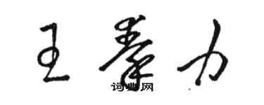 駱恆光王秦力草書個性簽名怎么寫