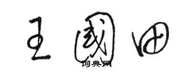 駱恆光王國田草書個性簽名怎么寫