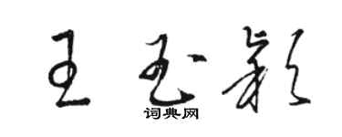 駱恆光王玉穎草書個性簽名怎么寫