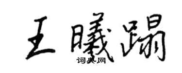 王正良王曦蹋行書個性簽名怎么寫