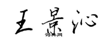 王正良王景沁行書個性簽名怎么寫