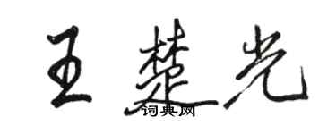 駱恆光王楚光行書個性簽名怎么寫