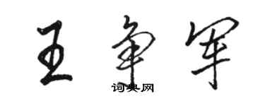 駱恆光王爭軍行書個性簽名怎么寫