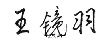 駱恆光王鏡羽行書個性簽名怎么寫