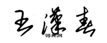 朱錫榮王漢春草書個性簽名怎么寫