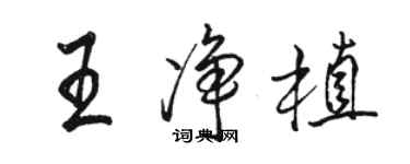 駱恆光王淨植行書個性簽名怎么寫