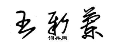 朱錫榮王新蘭草書個性簽名怎么寫