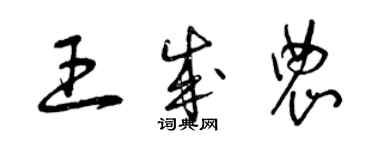 曾慶福王成農草書個性簽名怎么寫