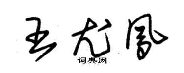 朱錫榮王尤鳳草書個性簽名怎么寫