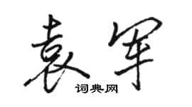 駱恆光袁軍行書個性簽名怎么寫