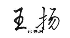 駱恆光王揚行書個性簽名怎么寫