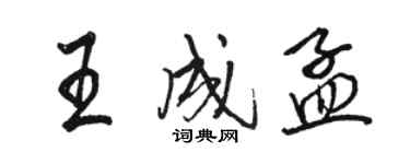 駱恆光王成孟行書個性簽名怎么寫