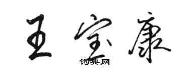 駱恆光王寶康行書個性簽名怎么寫