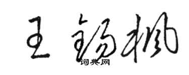 駱恆光王錫楓草書個性簽名怎么寫