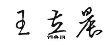 駱恆光王立晨草書個性簽名怎么寫
