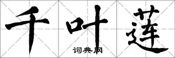 翁闓運千葉蓮楷書怎么寫