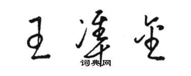 駱恆光王準金草書個性簽名怎么寫