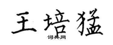 何伯昌王培猛楷書個性簽名怎么寫