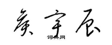 梁錦英侯宇辰草書個性簽名怎么寫