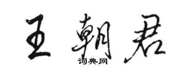 駱恆光王朝君行書個性簽名怎么寫