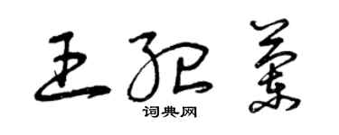 曾慶福王紀蘭草書個性簽名怎么寫