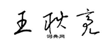 梁錦英王耿亮草書個性簽名怎么寫