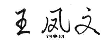 駱恆光王鳳文行書個性簽名怎么寫