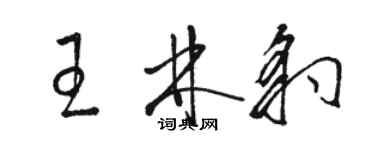 駱恆光王林豹草書個性簽名怎么寫