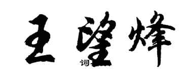 胡問遂王望烽行書個性簽名怎么寫