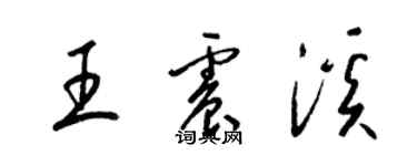 梁錦英王震溪草書個性簽名怎么寫