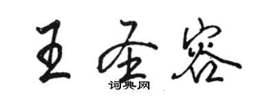 駱恆光王聖容行書個性簽名怎么寫