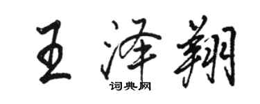 駱恆光王澤翔行書個性簽名怎么寫