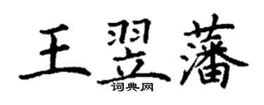 丁謙王翌藩楷書個性簽名怎么寫