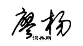 朱錫榮廖楊草書個性簽名怎么寫