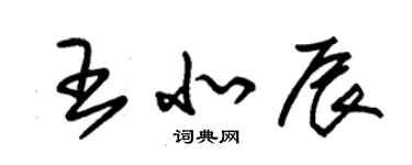 朱錫榮王北辰草書個性簽名怎么寫