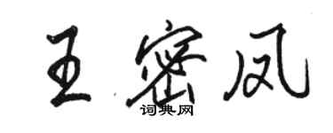 駱恆光王密鳳行書個性簽名怎么寫