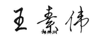 駱恆光王素偉行書個性簽名怎么寫