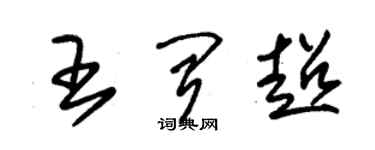 朱錫榮王聞超草書個性簽名怎么寫