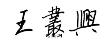 王正良王叢興行書個性簽名怎么寫