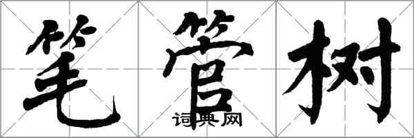 翁闓運筆管樹楷書怎么寫